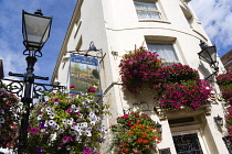 England, East Sussex, Brighton, The Lanes, Old fashioned streetlight lamppost outside The Sussex Pub with petunias in window boxes and hanging baskets.