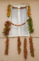 Turkey, Aydin Province, Kusadasi, Strings of red, green and orange chili peppers strung up to dry in summer sunshine from the window frame of house in old town.