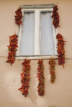 Turkey, Aydin Province, Kusadasi, Strings of red and orange chili peppers hung up to dry in summer sunshine from window frame of house in the old town.
