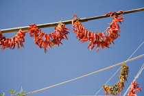 Turkey, Aydin Province, Kusadasi, Strings of red and orange chilies hanging up to dry in late afternoon summer sunshine in the old town against cloudless blue sky.