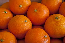 Grouped Clementines, filling camera frame.
