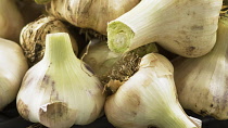 Elephant garlic, Allium ampeloprasum, Close cropped view of garlic bulbs with pale, papery skins and green flushed stalks.