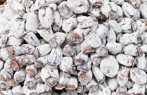 Palm, Phoenix canariensis, Date palm.