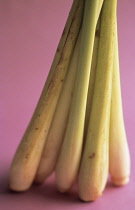 Lemongrass, Cymbopogon citratus.