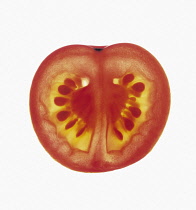 Tomato, Lycopersicon esculentum.