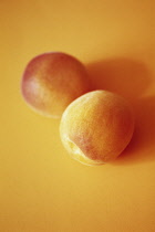 Apricot, Prunus armeniaca.