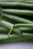 French Bean, Phaseolus vulgaris.