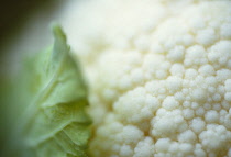Cauliflower, Brassica oleracea botrytis.