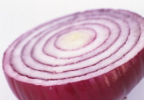 Onion, Allium cepa.