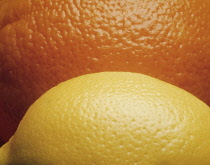 Lemon&orange, Citrus limon & citrus sinensis.