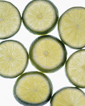 Lime, Citrus aurantiifolia.