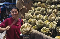 Durian, Durio zibethinus.