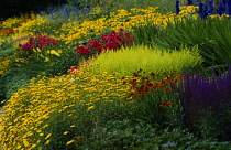Flower, Garden.