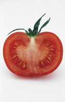 Tomato, Lycopersicon esculentum.