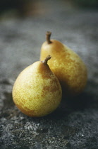 Pear, Pyrus communis.