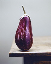 Aubergine, Solanum melongena.