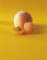 Apricot, Prunus armeniaca.