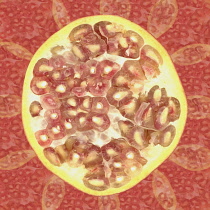 Pomegranate, Punica granatum.