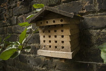 Insect house.