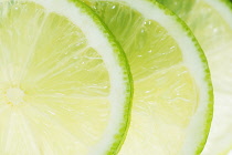 Lime, Citrus aurantiifolia.