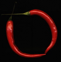 Chilli Pepper, Capsicum annuum.
