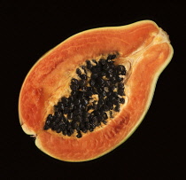 Papaya, Carica papaya.