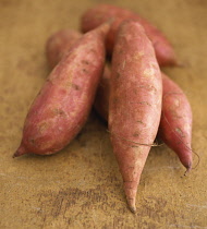 Sweet Potato, Ipomoea batatas.