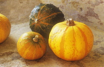 Pumpkin, Squash, Curcubita pepo.