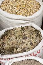 Popcorn Bush, Senna didymobotrya, Died seeds for sale in Turkish market.