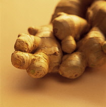 Ginger, Zingiber officinale.