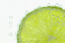 Lime, Citrus aurantiifolia.