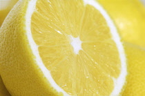 Lemon, Citrus limon.