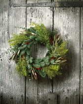 Christmas wreath.