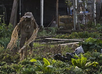 Allotment.