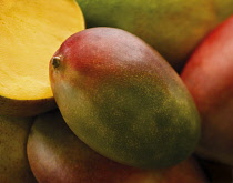 Mango, Mangifera indica.