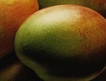 Mango, Mangifera indica.