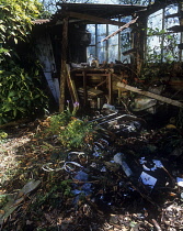 Dilapidated shed.