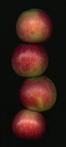 Apple, Malus domestica 'Discovery'.