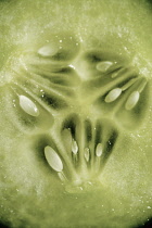 Cucumber, Cucumis sativus.