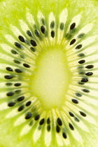 Kiwi, Actinidia chinensis.
