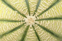 Melon, Canteloupe melon, Cucumis melo.