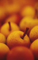 Crabapple, Malus sieboldii.