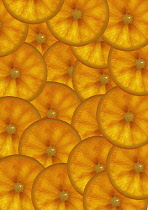 Orange, Citrus sinensis.