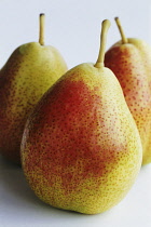 Pear, Pyrus communis 'Forelle blush'.