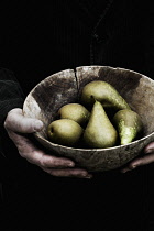 Pear, Pyrus communis.