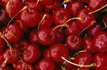 Cherry, Prunus.