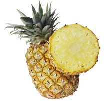 Pineapple, Ananas comosus.