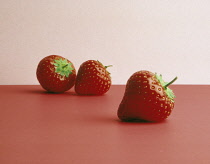 Strawberry, Fragaria x ananassa.