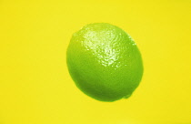 Lime, Citrus aurantiifolia.