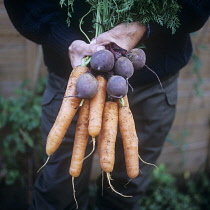 Mixed Vegetables.